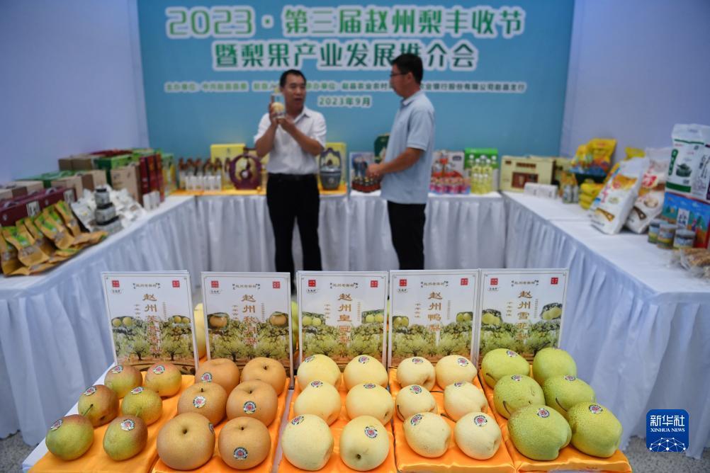 eg伯爵棋牌